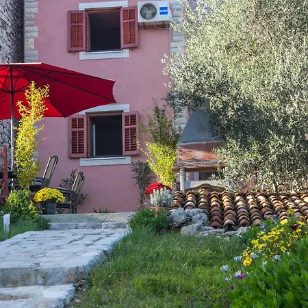 Rosa Guest house